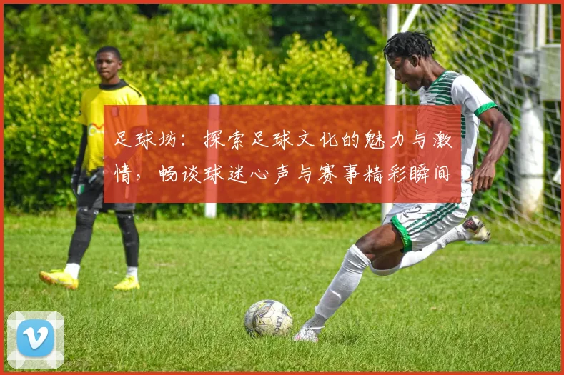 足球坊：探索足球文化的魅力与激情，畅谈球迷心声与赛事精彩瞬间
