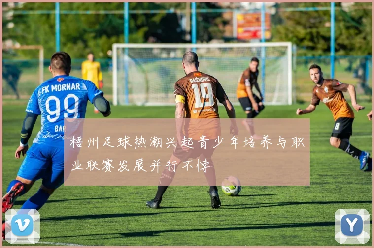 梧州足球热潮兴起青少年培养与职业联赛发展并行不悖