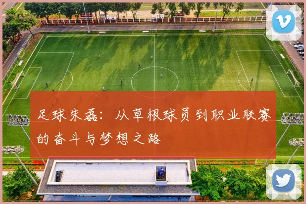 足球朱磊：从草根球员到职业联赛的奋斗与梦想之路