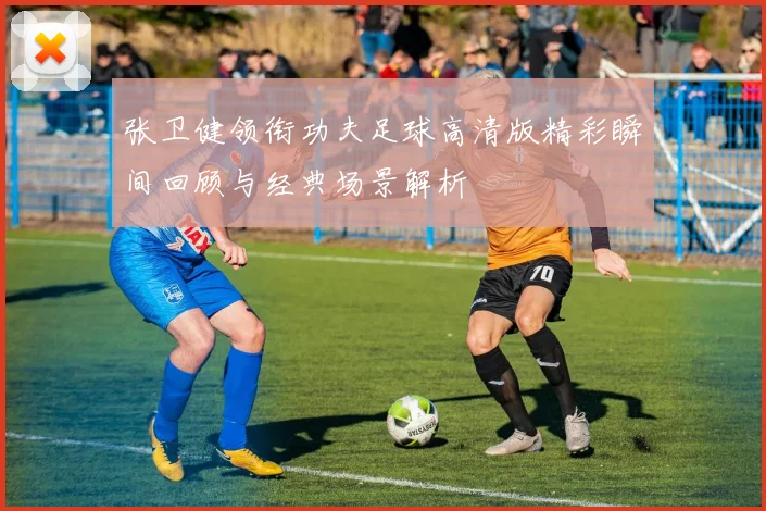 张卫健领衔功夫足球高清版精彩瞬间回顾与经典场景解析