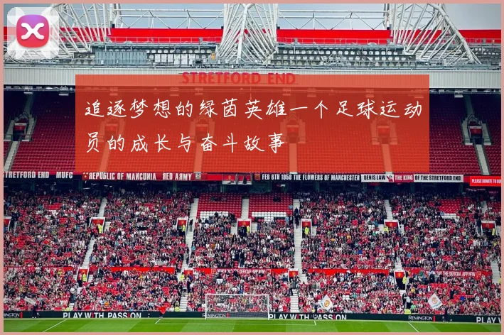 追逐梦想的绿茵英雄一个足球运动员的成长与奋斗故事
