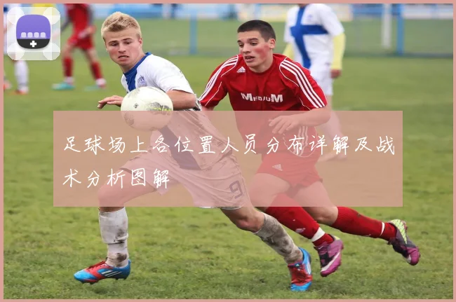 足球场上各位置人员分布详解及战术分析图解
