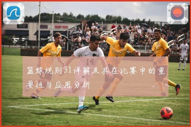 篮球规则31详解及其在比赛中的重要性与应用分析